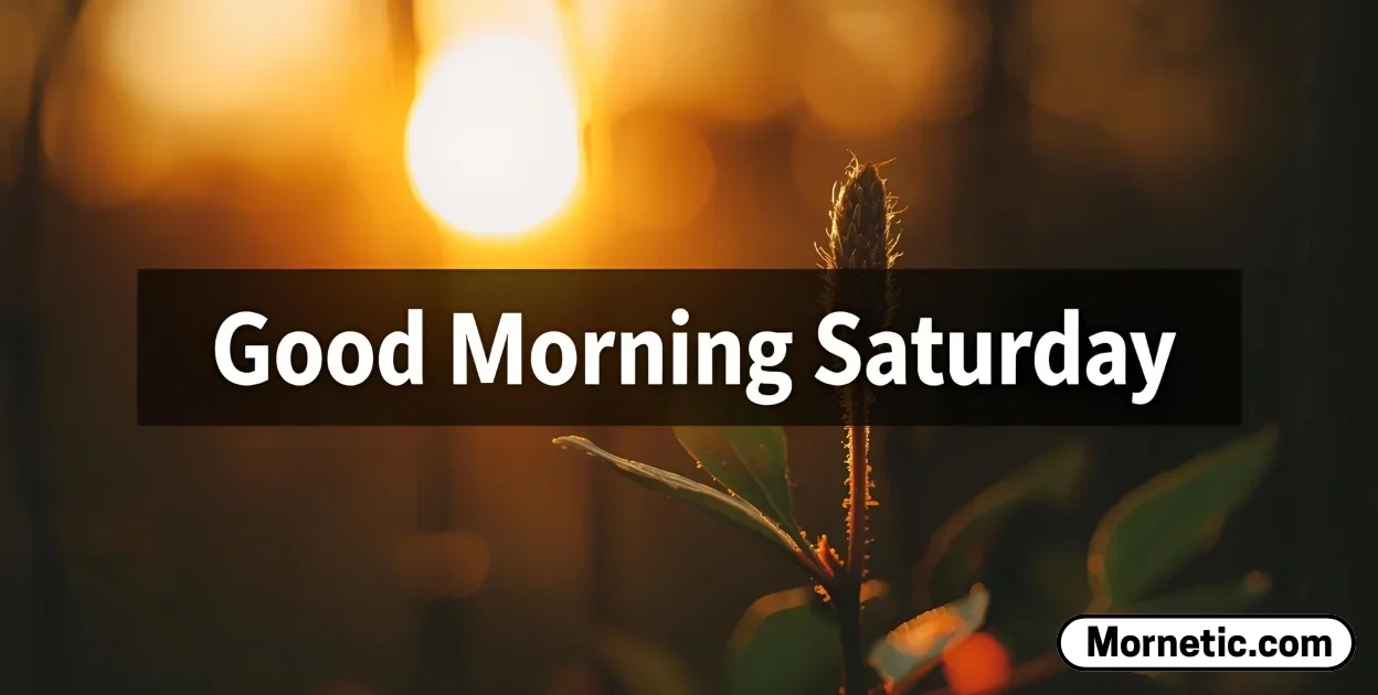 Good Morning Saturday