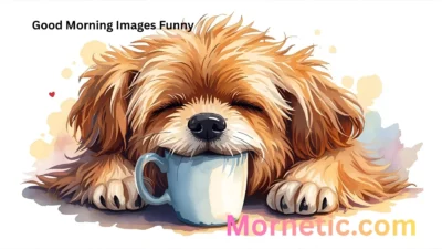 Good Morning Images Funny
