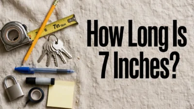 How Long Is 7 Inches? Everyday Objects and Measurement Conversions